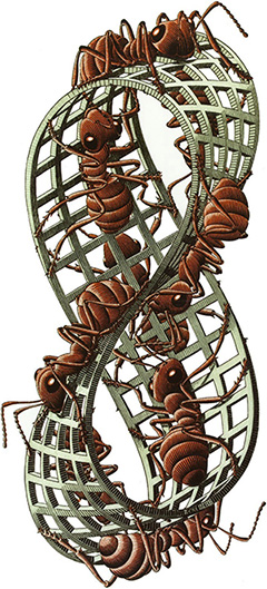 M.C. Escher Ants Moebius Strip 2