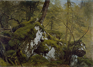 'Study Of A Wood Interior' by Asher Brown Durand 'Study Of A Wood Interior' by Asher Brown Durand