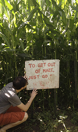 The corn maze mocked us at every turn. The corn maze mocked us at every turn.