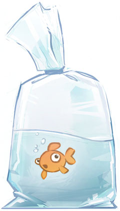 A Goldfish In A Bag